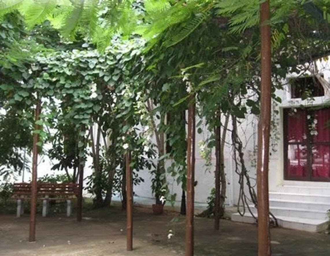 Фотография San Alejandro 3*